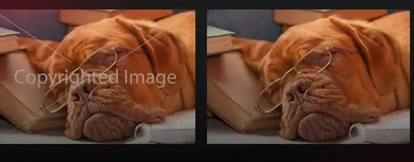watermark removed with ai