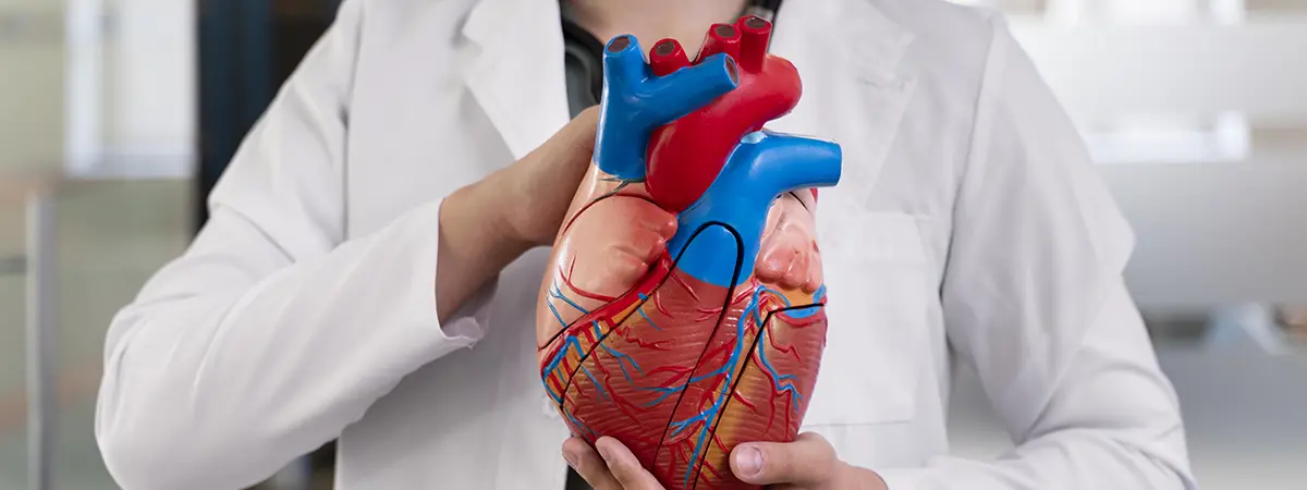 تشخیص عمر بیولوژیکی و علائم پیری قلب به کمک هوش مصنوعی